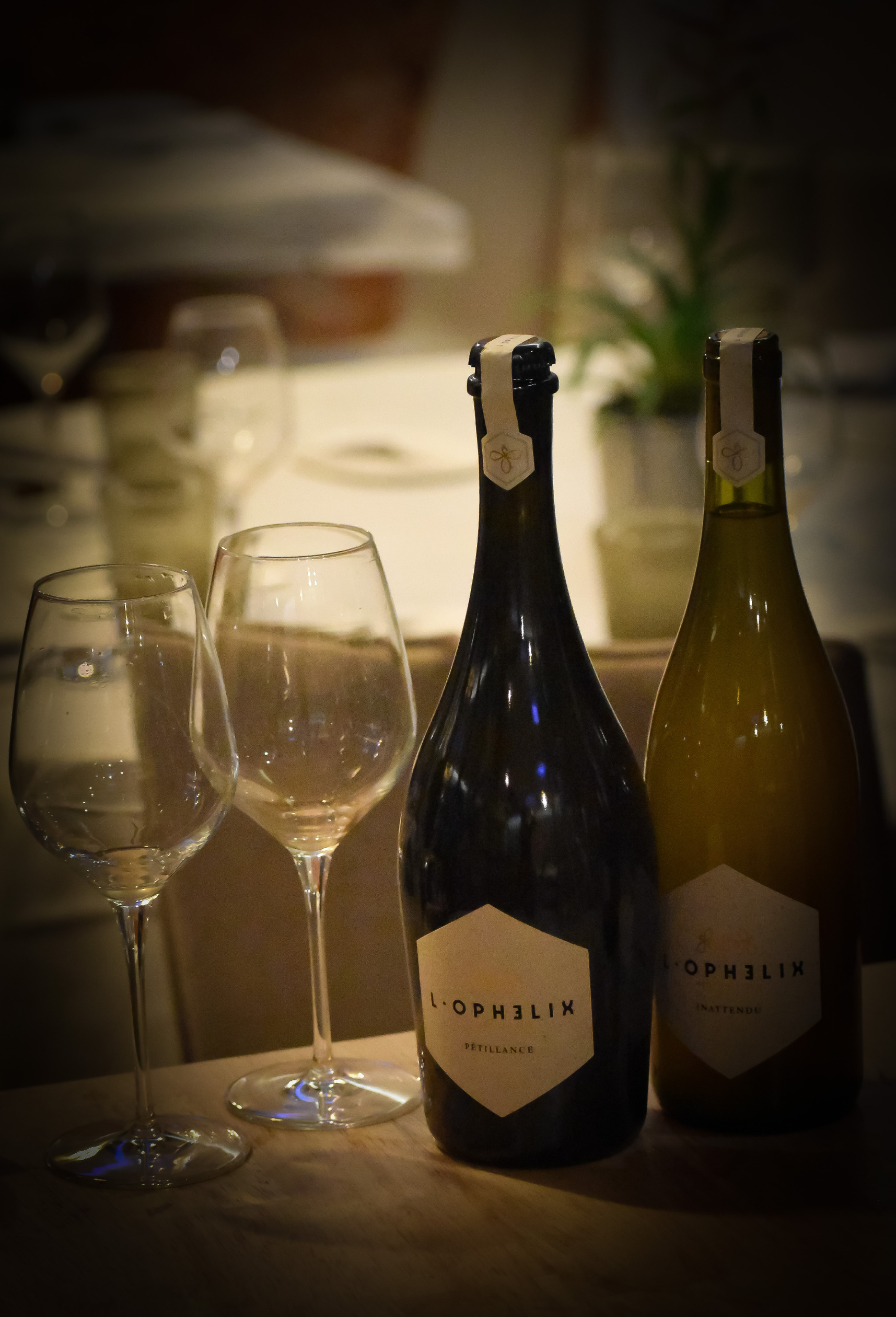 Hydromel Gastronomique, L'Ophelix